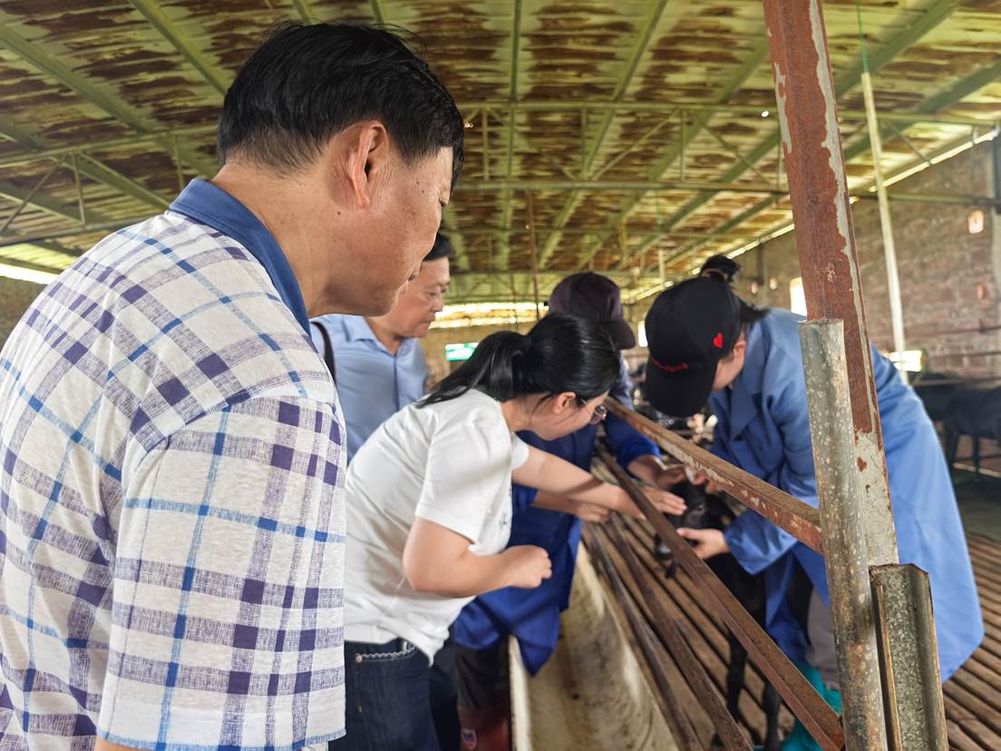 2c39e2e845838866c5acb4520837d91